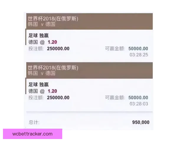 世界杯买球官网权威指南与安全投注技巧全面解析平台推荐最新精选